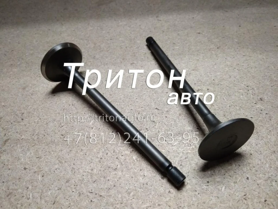 Клапан выпускной NQR75, NPR75, FVR34 Besuto