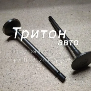 Клапан выпускной NQR75, NPR75, FVR34 Besuto