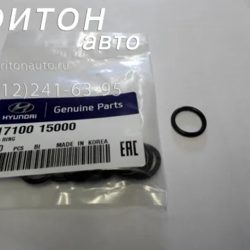 Кольцо уплотнительное форсунки (резиновое) HD72, HD78 Hyundai-Kia