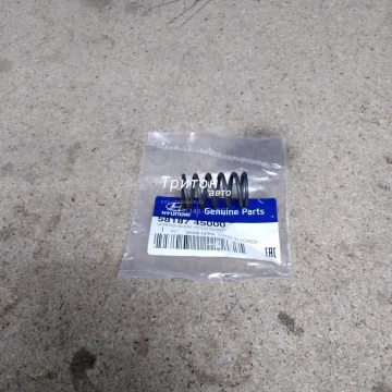 Пружина колодки тормозной прижимная HD65, HD72, HD78, County Hyundai-Kia